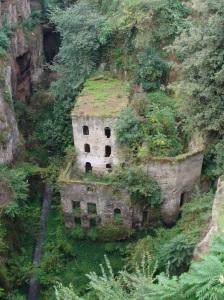 One of the first things I saw in Sorrento--some ruins that looked pretty magical